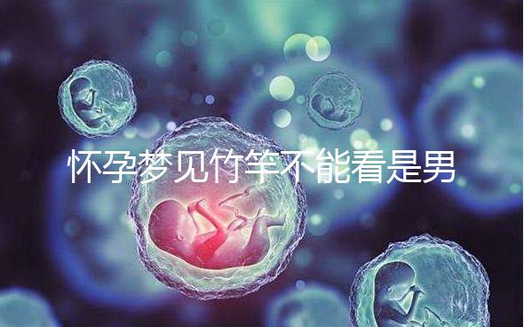 懷孕夢見竹竿不能看是男孩or女孩,解讀胎夢預(yù)兆別太主觀