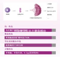 懷孕常見(jiàn)征兆主要有哪些