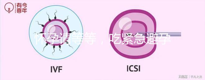 懷孕請等等，吃緊急避孕藥多久能有性生活看專家怎么說