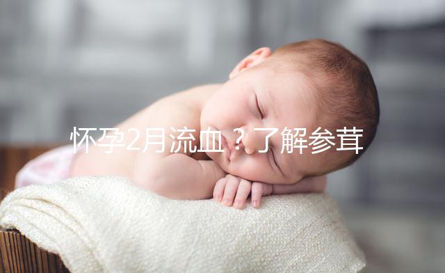 懷孕2月流血？了解參茸保胎丸作用可輕松保胎