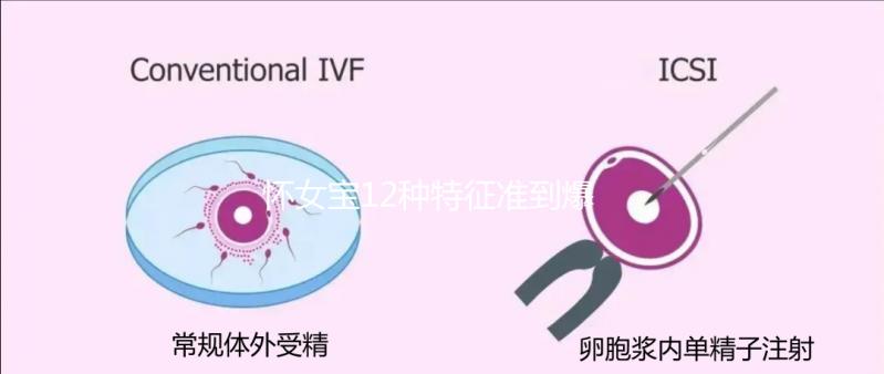 懷女寶12種特征準到爆，尿液顏色、孕反...看你對上幾條