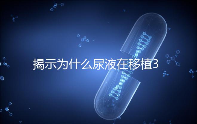 揭示為什么尿液在移植30天后需要稀釋才能測量，正常情況下不一目了然