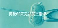 揭秘60天無卵黃空囊保胎成功表現，這些經典案例別錯過