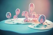 成都早教中心費(fèi)用表來襲,2024年哪個便宜?