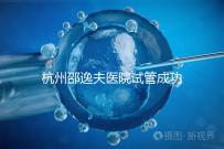 杭州邵逸夫醫(yī)院試管成功率高達70%?助孕專家講述其中奧秘