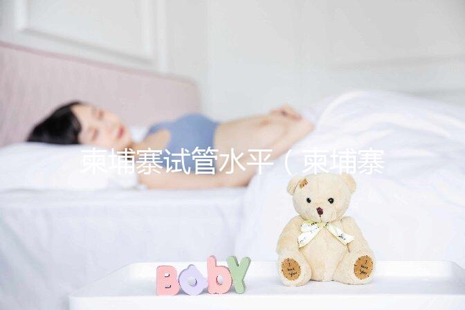 柬埔寨試管水平(柬埔寨試管水平怎么樣)