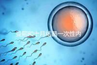 曼熙和十月結(jié)晶一次性內(nèi)衣哪個(gè)好看就知道了,女生都來(lái)看