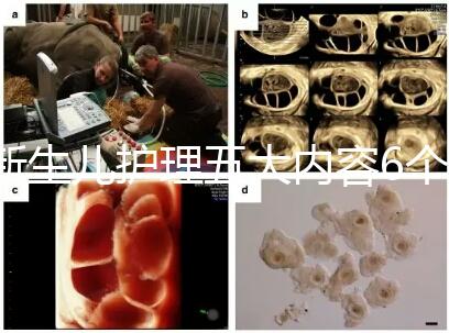 新生兒護(hù)理五大內(nèi)容6個要點整理，嬰兒養(yǎng)育照護(hù)干貨來了