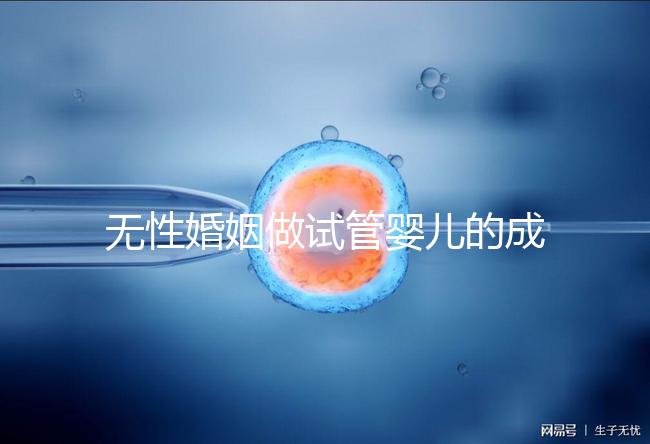 無性婚姻做試管嬰兒的成功率2024，一文說清有沒有用