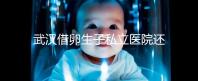 武漢借卵生子私立醫(yī)院還得看這幾家，協(xié)和、同濟醫(yī)院上榜