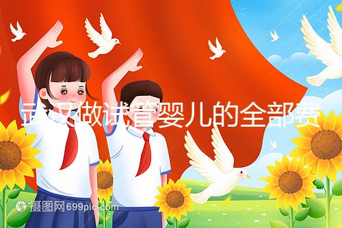 武漢做試管嬰兒的全部費用大概是多少錢？