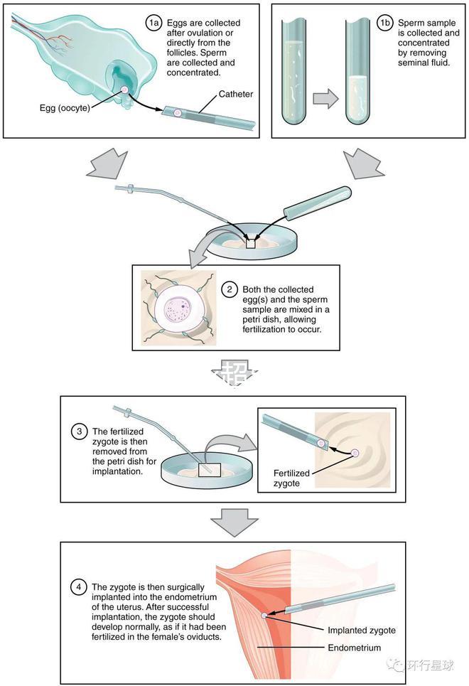 武漢四維彩超費用表整理，內(nèi)附市婦保院超全預約攻略