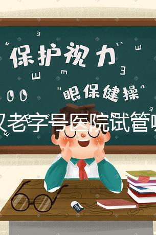 武漢老字號(hào)醫(yī)院試管哪個(gè)醫(yī)生好？2025助孕成功率高的大夫參考