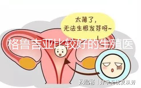 格魯吉亞比較好的生殖醫院是哪家,助孕成功率高還看這4家