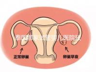 泰國哪家試管嬰兒醫(yī)院技術(shù)好?這些醫(yī)院排名前三