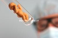 泰國在哪里做試管嬰兒好(泰國在哪里做試管嬰兒好一點)