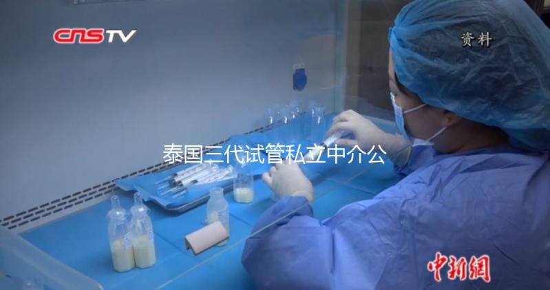 泰國三代試管私立中介公司推薦，排名一目了然，輕松選擇！