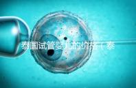 泰國試管嬰兒的價(jià)格(泰國試管嬰兒的價(jià)格要多少)