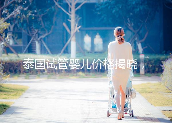 泰國試管嬰兒價(jià)格揭曉,來看看需要準(zhǔn)備多少錢