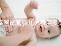 泰國試管嬰兒總費(fèi)用多少(泰國試管嬰兒總費(fèi)用多少錢)