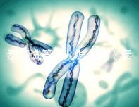 泰國(guó)試管嬰兒怎么做(泰國(guó)試管嬰兒怎么做手術(shù))