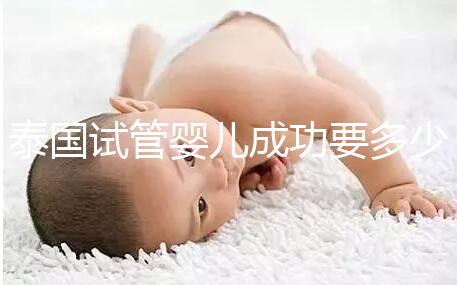 泰國試管嬰兒成功要多少錢？不成功怎么辦？