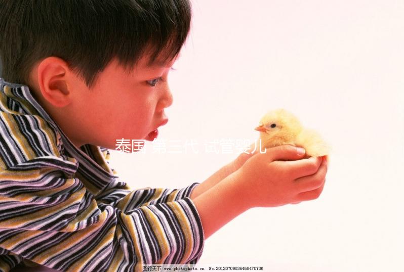 泰國 第三代 試管嬰兒(泰國 第三代 試管嬰兒費用)