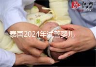 泰國2024年試管嬰兒攻略索引:證書,結婚證是硬條件