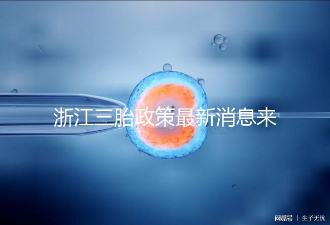浙江三胎政策最新消息來襲，2024臺州有哪些補貼？