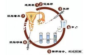 浙江27家試管嬰兒醫院成功率排名公開，邵逸夫醫院位居前十