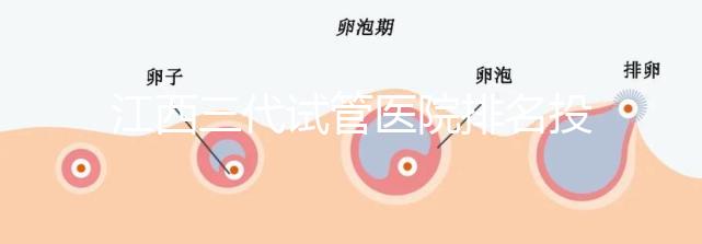 江西三代試管醫(yī)院排名投票截止!附前三位成功率和費(fèi)用詳解