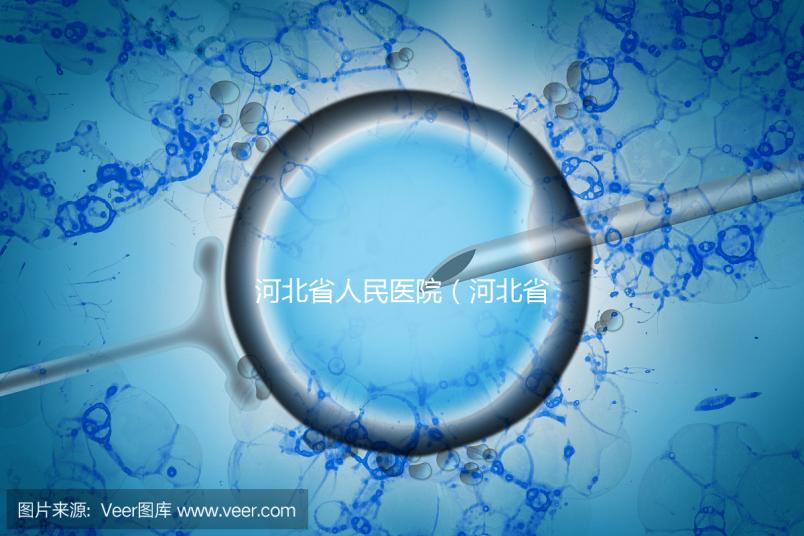 河北省人民醫院(河北省人民醫院官網)