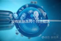 沒有胚胎凍兩個月還能活著嗎？60s會告訴你怎么樣？