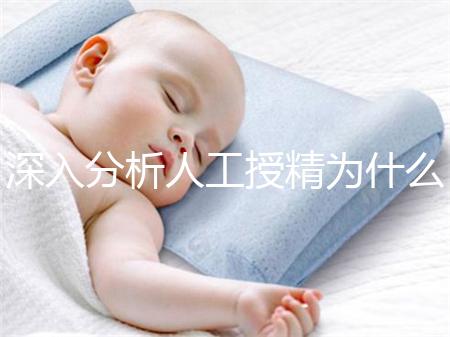 深入分析人工授精為什么要促進排卵,是否有效果