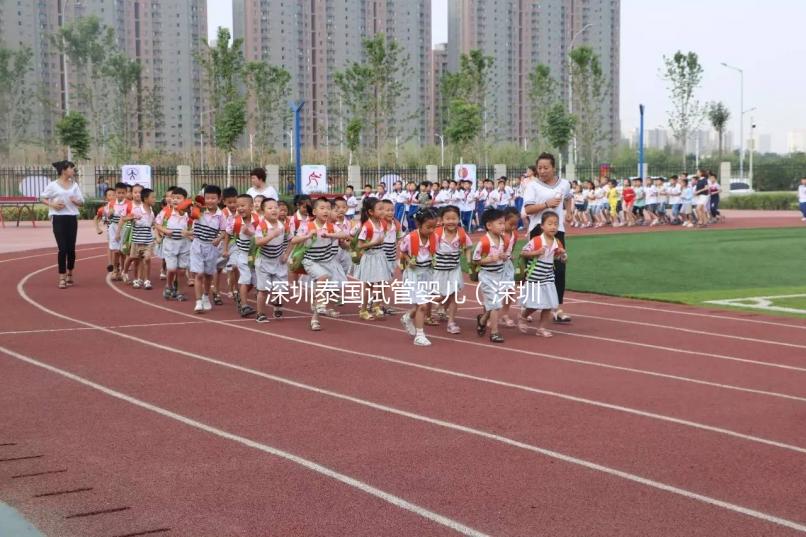 深圳泰國試管嬰兒(深圳泰國試管嬰兒技術(shù))