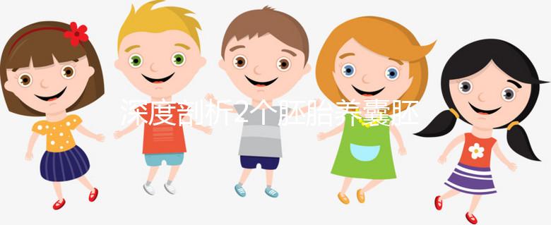 深度剖析2個胚胎養(yǎng)囊胚的成功率,可以養(yǎng)成幾個一目了然