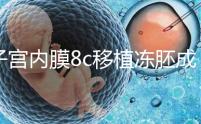 子宮內膜8c移植凍胚成功率不高，多和這些因素有關要知道