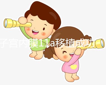 子宮內膜11a移植成功率解析，好不好、適不適合著床看這
