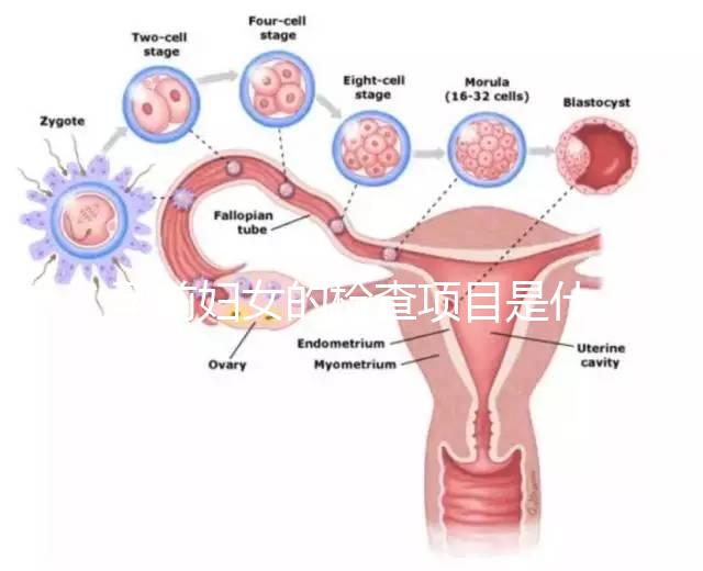 孕前婦女的檢查項目是什么？