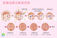 孕中期四維和三維彩超檢查區(qū)別真不小,看完便知誰更好