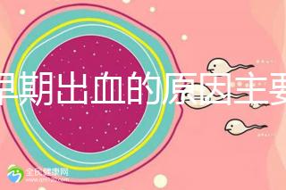 孕早期出血的原因主要有哪些