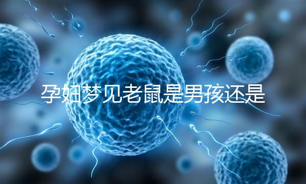 孕婦夢(mèng)見(jiàn)老鼠是男孩還是女孩不再糾結(jié)，詳細(xì)預(yù)兆解讀看這