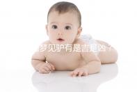 孕婦夢見驢有是吉是兇?看看相關(guān)解夢你就知道了