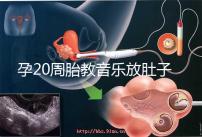 孕20周胎教音樂放肚子上怎么辦要早知，細數常見危害