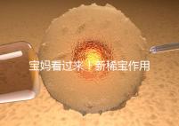 寶媽看過來！新稀寶作用及用法用量介紹