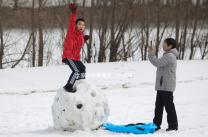 大家都來看看第二次促排卵懷孕的幾率，成功率高不高都總結(jié)了一下