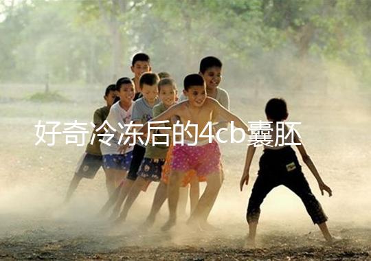 好奇冷凍后的4cb囊胚移植幾天著床看這，第七天別還不敢測