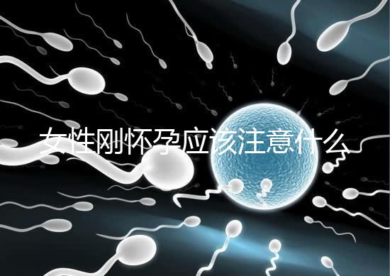 女性剛懷孕應該注意什么？