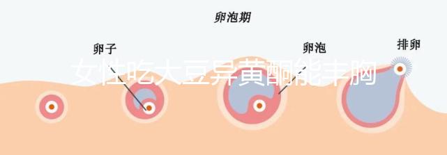 女性吃大豆異黃酮能豐胸?別再被這些虛假廣告給忽悠了