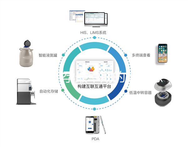 女性懷孕最早期的微妙感覺，同房5周腰酸疑似有身孕